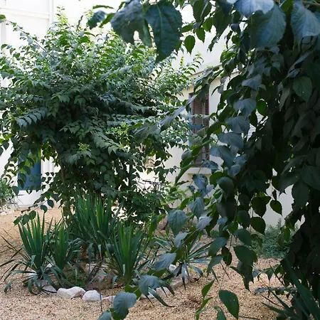 شقة Jules Appart, Cosy, Central, 5 Ch, 10p, Tram L1, 2,3, 4 Et 5