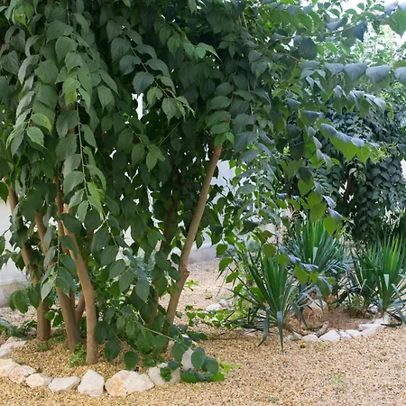 Jules Appart, Cosy, Central, 5 Ch, 10p, Tram L1, 2,3, 4 Et 5 * مونبيلييه